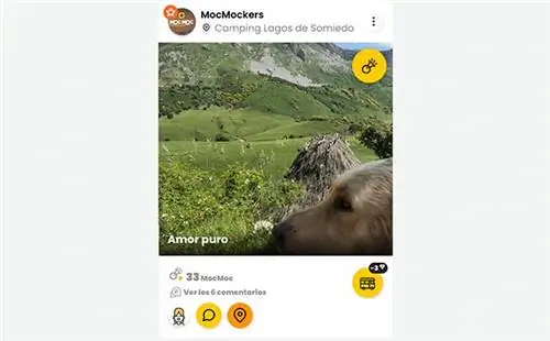 Скриншот приложения MocMoc Life Скриншот приложения MocMoc Life