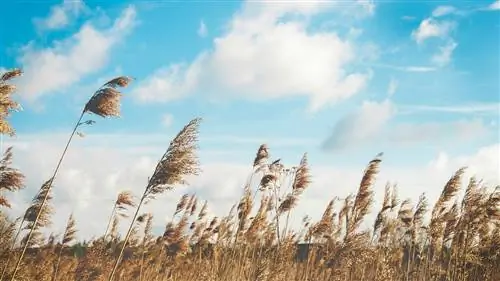 Идеальный план избавления от стресса