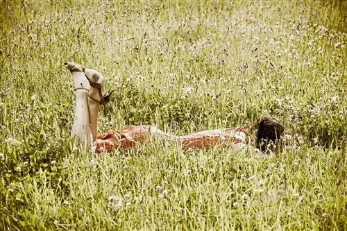 Осознанность освобождает ваш разум от связи с пространством
