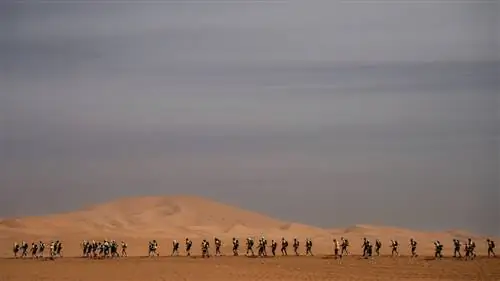 Лучшие трейлраннинговые гонки в мире