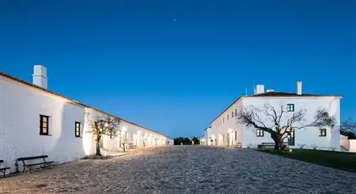 Нельсон Гарриду Сан-Лоуренсу-ду-Баррокаль