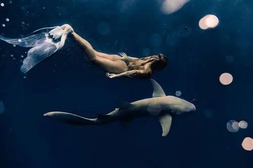 Экологичные купальники All Sisters