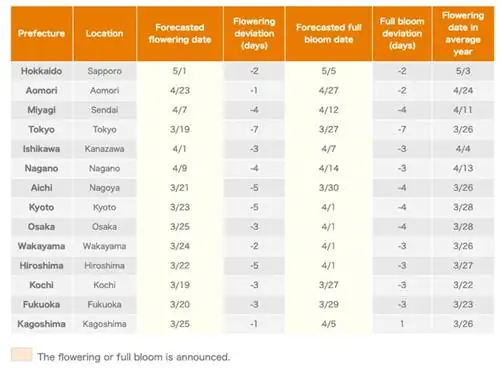 Кристина Взкес с одной из своих картин на пляже.