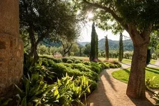 Июньская жизнь на острове