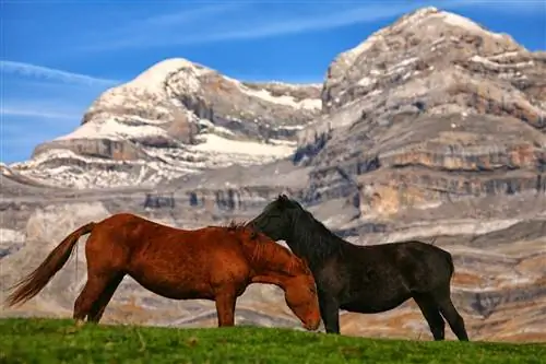 Лето в Ордесе