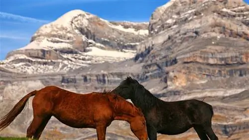 Ордеса - это еще и рай летом