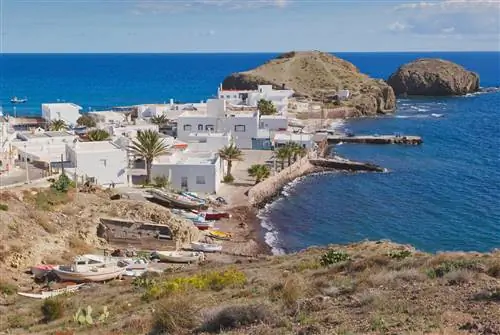 Островок Моро