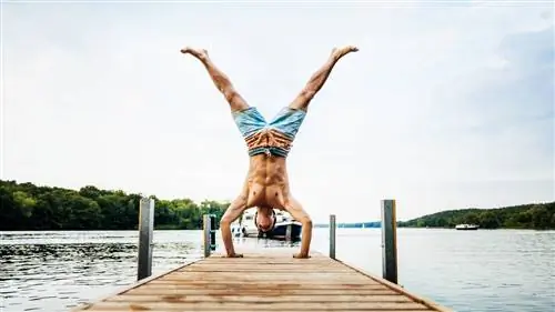 Handstanders или как увидеть мир вверх ногами и рассказать об этом в сетях