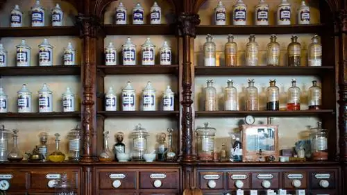 Аутентичный Леон: предприятия, выдержавшие испытание временем и прибытием туристов