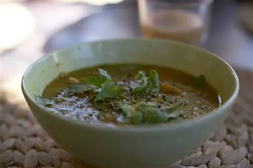 Одно из аюрведических блюд, которые подают в Solaz Retreats.