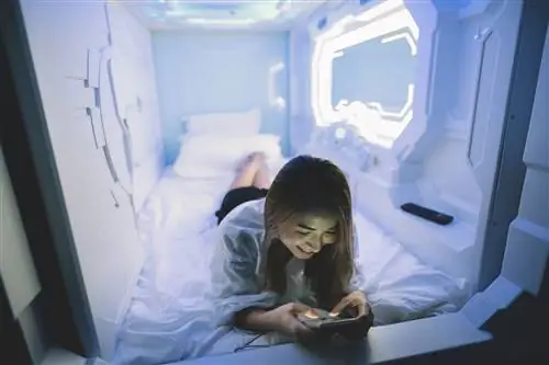 Капсульные отели: да или нет?