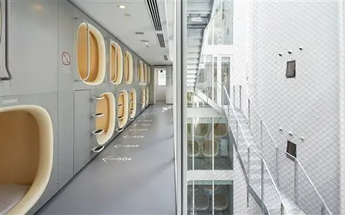 9 часов девять часов