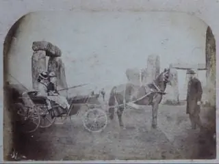 1875 г.