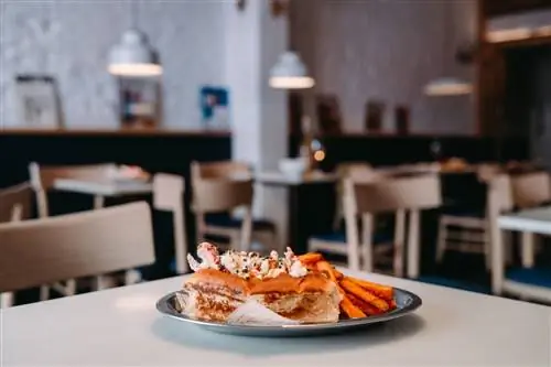 Из Англии в Мадрид с остановкой в Барселоне The Fish Chips Shop
