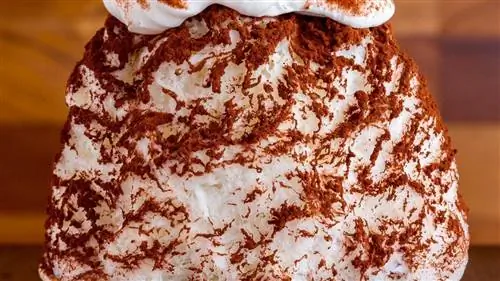 Какигори, модное в Японии мороженое уже в Мадриде