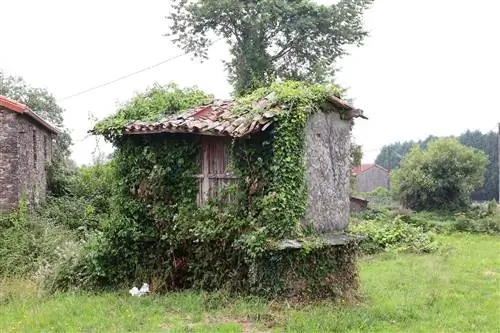 Амбары - символы этой земли