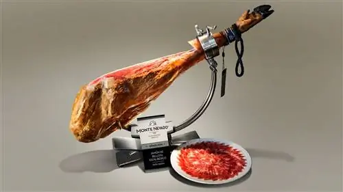 гора снежная