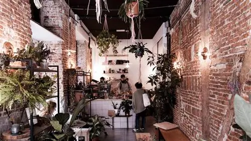 Plantate Café: фирменный кофе в Lavapiés