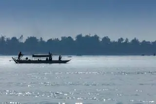 Дельфины в реке Кратьэх
