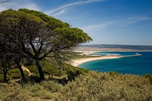 Природный парк Ла-Бренья и Марисмас-де-Барбате.