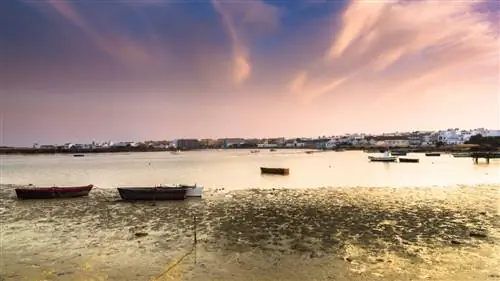 Барбейт: Допустим, &8211, а не просто - мы говорим о тунце