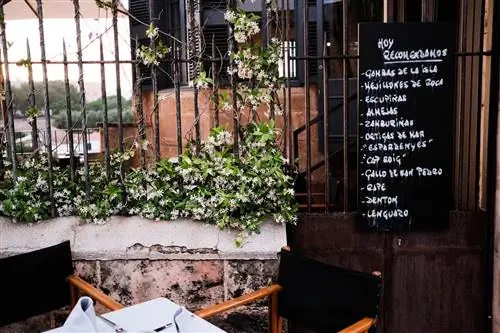 Кас Консоль