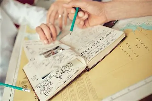 Вокруг света на паруснике