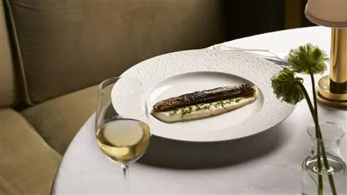 Сольола алла Скапече