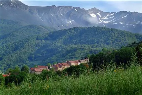 поляризация