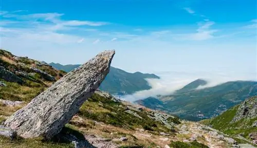 поляризация