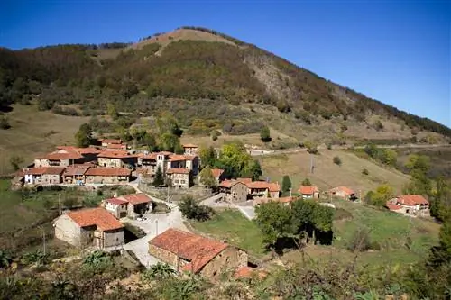 три бабушки