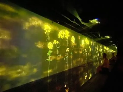 Рост и увядание цветов повторяются вечно.