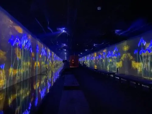 В цифровых работах teamLab никогда не бывает недостатка в цветах.