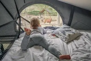 Лучший вариант для семьи