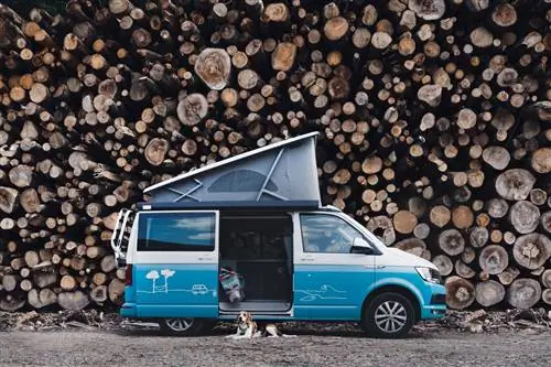 Кемперы, используемые семьями с собаками, будут сдаваться в аренду только любителям животных.