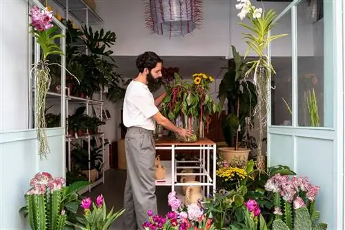 Оранжерея - проект мечты Хуанмы Гонслес в Севилье.