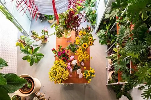 Рабочий стол в Orangerie Seville.