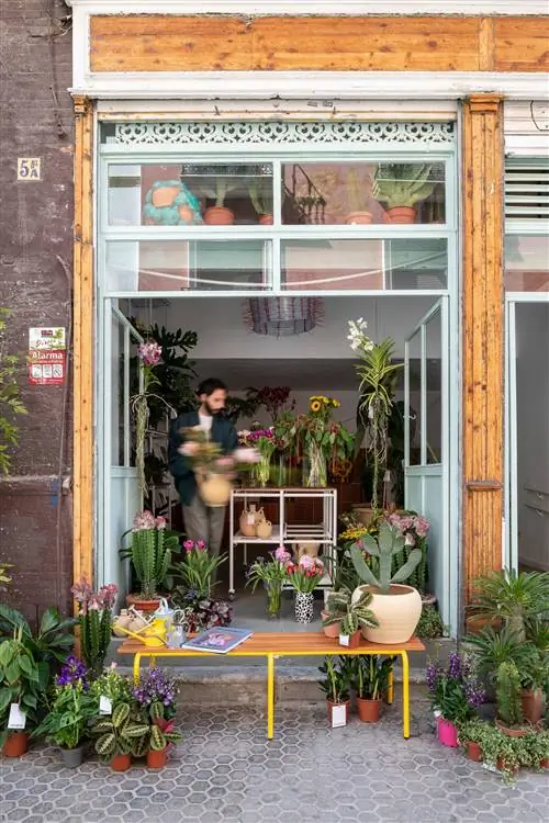 Orangerie - самый красивый магазин растений в Аламеда-де-Геркулес в Севилье.