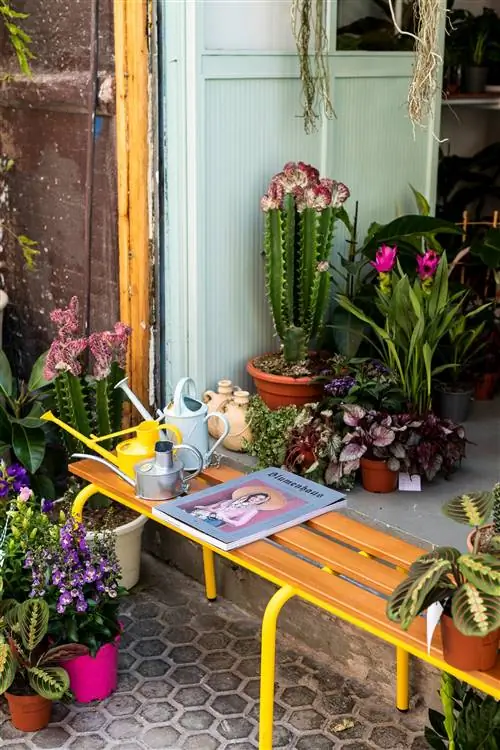 Сотни прекрасных цветов прибывают из теплиц Кадиса в Оранжерею.