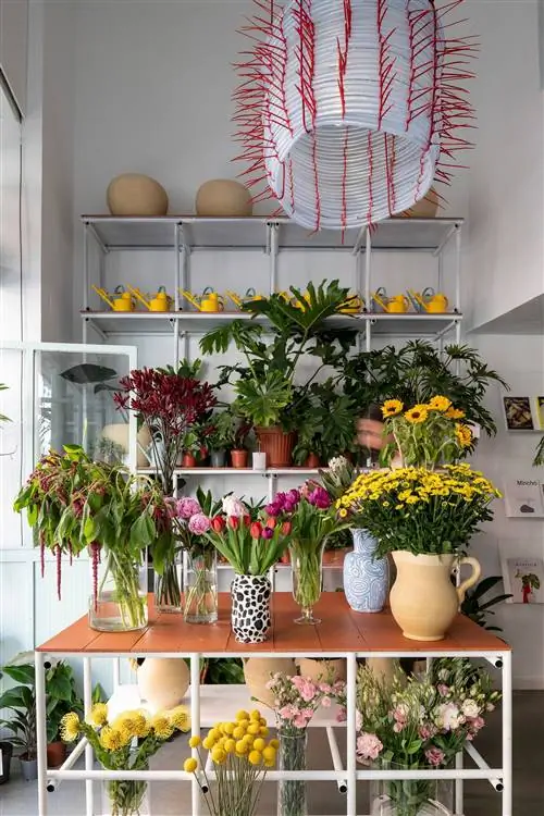 Оранжерея - это сад растений и цветов.