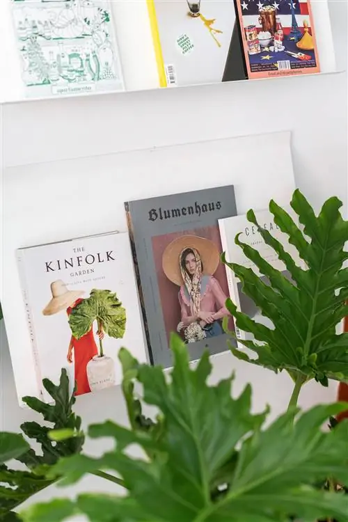 В оранжерее вы также найдете международные журналы по искусству, связанному с ботаникой.