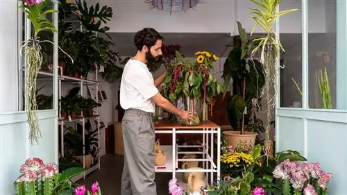 Оранжерея, ради любви… к растениям