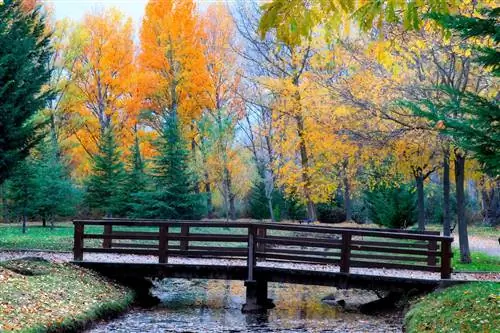 Агилар де Кампо Паленсия