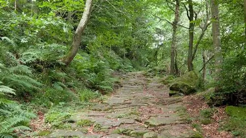 Дорога Блендиос: маршрут между морем и плато