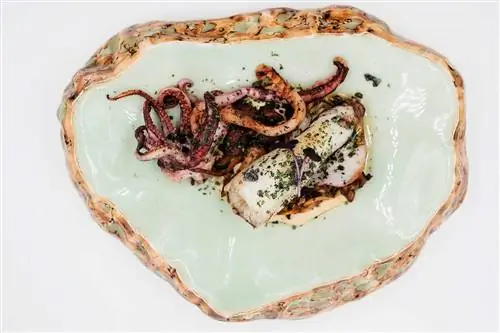 Руководство по использованию и наслаждению Картахеной