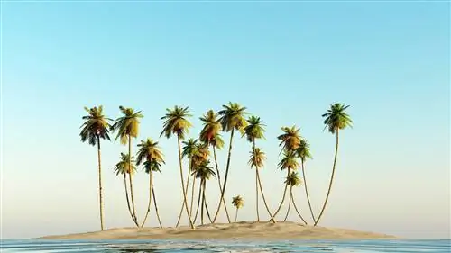 Десять мифических кинопляжей, где можно провести отпуск