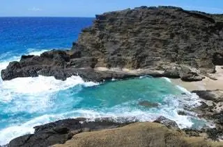 Халона Коув «Отсюда и в вечность»