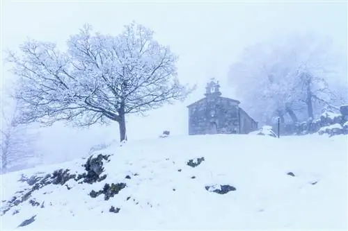 Пьорнедо, деревня Астрикс и Обликс