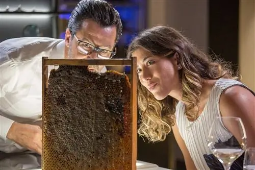 одна жизнь один ужин