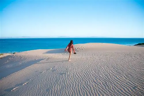 вальдевакерос